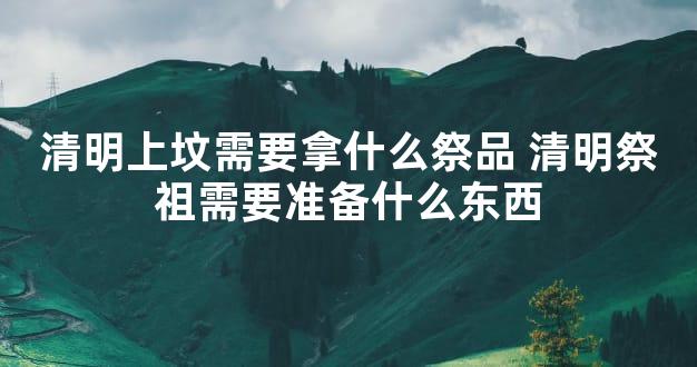 清明上坟需要拿什么祭品 清明祭祖需要准备什么东西